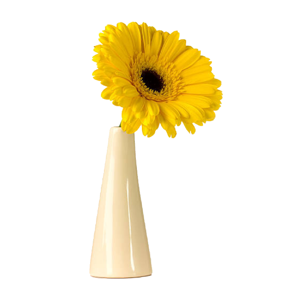 Modern Ceramic Vase Thumbnail